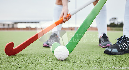 Image of Hockey team, stick or field for exercise fitness workout or running performance, physical or sport challenge. Health professional athlete, cardio collaboration or outdoor competition, game or closeup