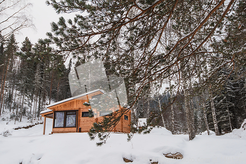 Image of Winter holiday house in forest.