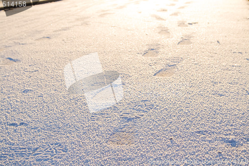 Image of Footprints in the snow