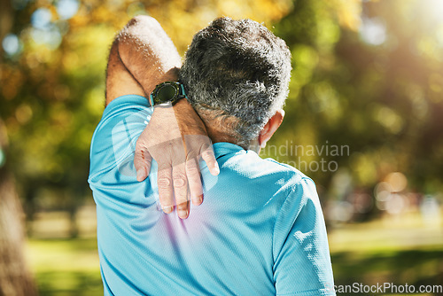 Image of Senior man, back pain and nature in sports injury, fitness or outdoor accident after workout or training. Rear view of mature male person with sore spine, bone or inflammation from muscle exercise