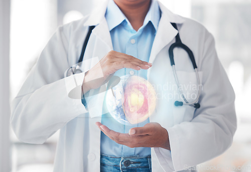 Image of Globe, hologram and doctor in hospital for network, biometrics and website for telehealth. Futuristic, healthcare mockup and person with earth overlay for 3d digital scan, ux and medical research