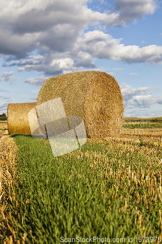 Image of haystacks with straw