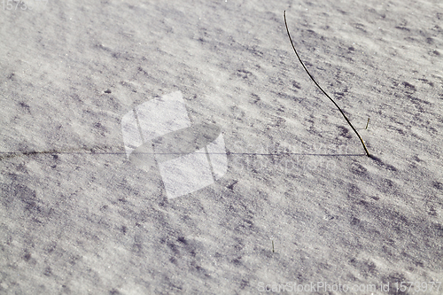 Image of surface of the snow