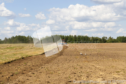 Image of agricultural field after harvesting