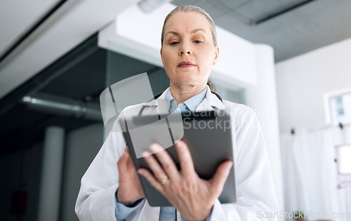 Image of Woman, doctor and tablet in research, Telehealth or communication for results or networking at hospital. Female person, healthcare or medical surgeon working on technology for online search at clinic