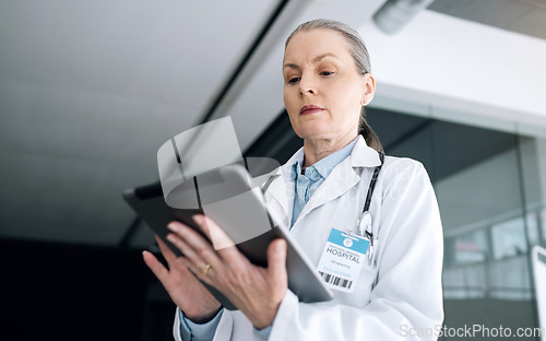 Image of Woman, doctor and tablet in research, communication or Telehealth for results or networking at hospital. Female person, healthcare or medical surgeon working on technology for online search at clinic