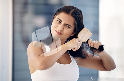 Image of Hair, brush and tangled with a woman struggling with messy haircare while brushing in her home. Face, hands and beauty with a female frustrated with knots while trying to style or untangle her hairs