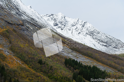 Image of snow-covered mountain peaks above autumn-colored trees and rocks
