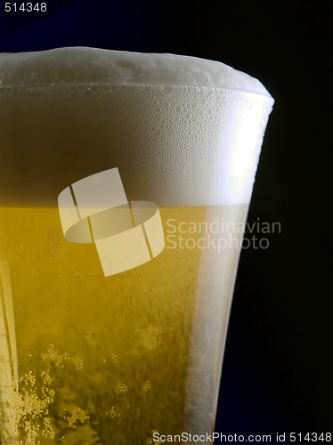 Image of Cold Beer