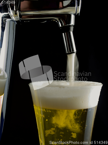 Image of Cold Beer