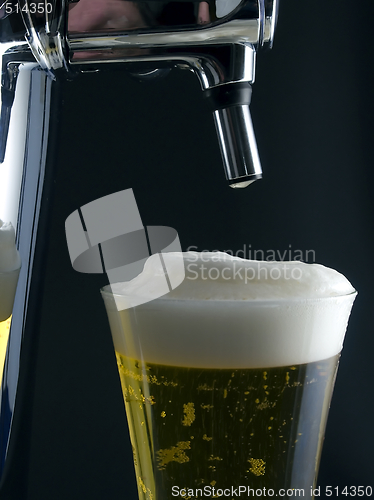 Image of Cold Beer