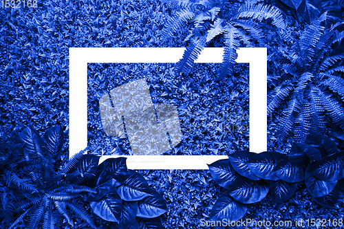 Image of Classic blue color background from leaves