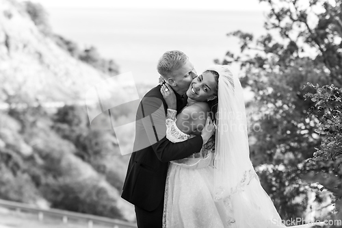 Image of Happy newlyweds kiss passionately against the backdrop of a beautiful mountain landscape, black and white version