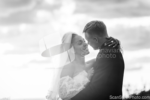Image of Happy newlyweds hugging against the sky in the rays of the setting sun, black and white version