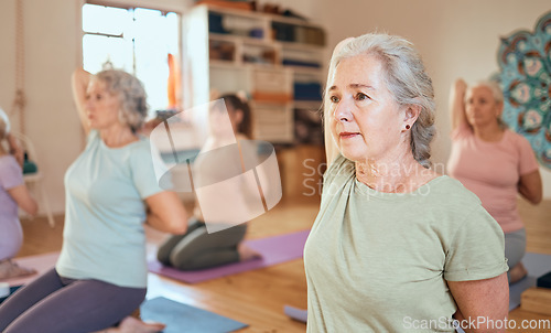 Image of Fitness, yoga and senior women stretching and training body, breathing and mindfulness together in a studio. Wellness, meditation and zen elderly people exercise in retirement with a cow face pose