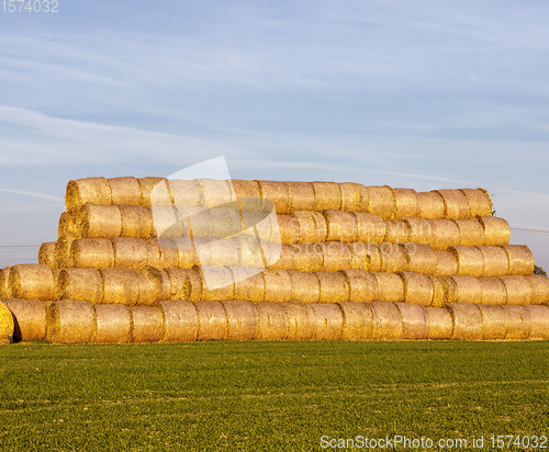 Image of cylindrical straw stacks