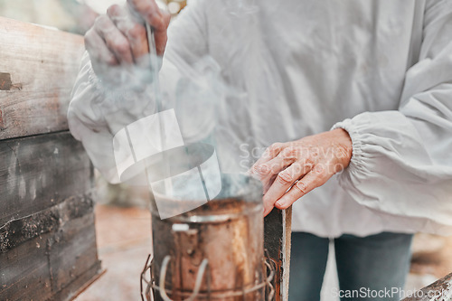 Image of Hands, smoker fire and beekeeper on farm mix and refueling with tool. Safety, beekeeping and worker in suit preparing smoking pot or equipment to calm or relax bees, beehive or bugs for honey harvest