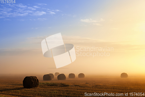 Image of agricultural field