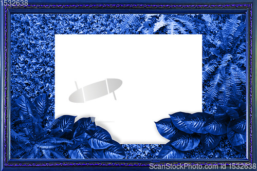 Image of Classic blue color background from leaves