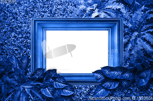 Image of Classic blue color background from leaves