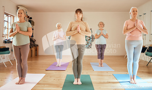Image of Yoga class, exercise and meditation prayer position of senior women together for fitness, workout and chakra training for zen, peace and balance. Old people at gym for pilates, health and wellness