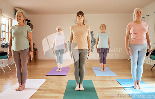 Image of Fitness, yoga and elderly women in a class to relax and start a calm, workout and peaceful meditation in a studio. Wellness, friends or zen senior people ready for mindfulness training and exercise