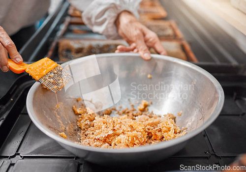 Image of Hands, honeycomb and bowl for organic food processing, preparation or extract at the workplace. Hand of beekeeper working in honey making, extraction or agriculture for food, retail or producing