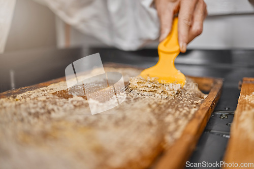 Image of Beekeeper, hand and honey process, production and manufacturing in a factory, workshop and workplace. Frame, scraping and honeycomb with equipment for beeswax on a sustainability farm or warehouse