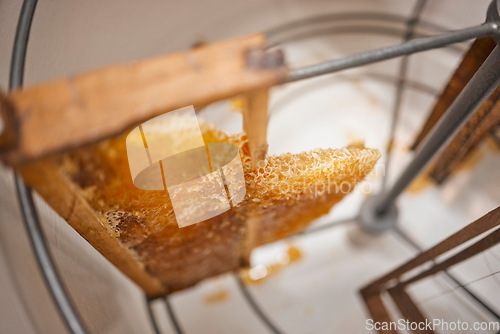 Image of Honeycomb, natural product and honey production, harvest and manufacturing of sustainable organic produce with wood frame. Beekeeping industry, farm fresh and bee farming closeup and food extraction.