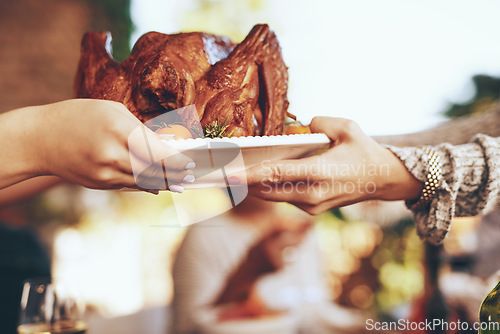 Image of Chicken, lunch and hands at a party, celebration or Christmas event for eating together. Food, nutrition and people giving a turkey on a plate for dinner, feast and fine dining in nature with bokeh