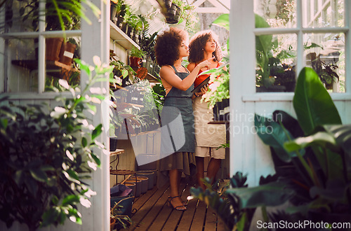 Image of Tablet, plants and women, florist shop and nature in retail store, service and eco friendly market. Female seller staff check flowers, leaves and digital planning for sustainable startup management