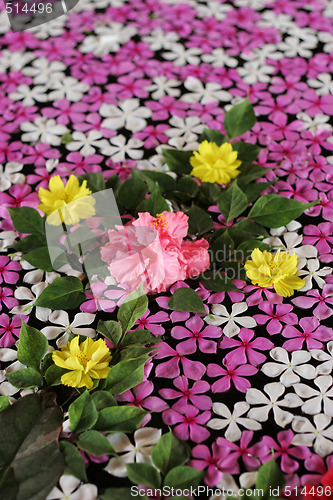 Image of Floating flowers