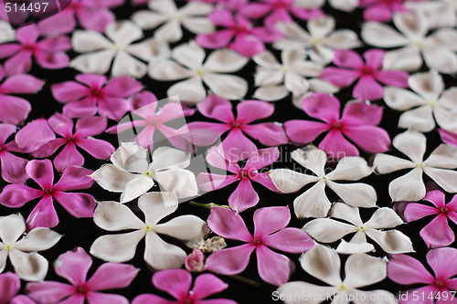 Image of Floating flowers