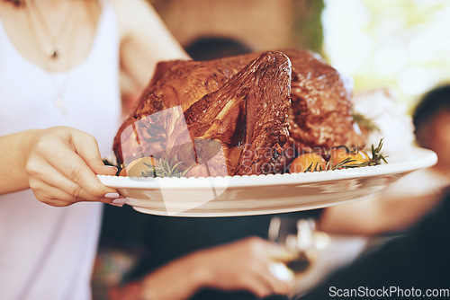 Image of Chicken, lunch and hands of a woman at a celebration with a plate for a party, Christmas or gathering. Food, nutrition and girl serving a turkey for dinner during Thanksgiving with family and friends