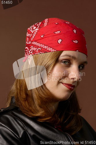 Image of Biker Girl 2