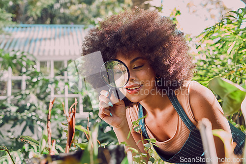 Image of Woman, gardening and farmer with magnifying glass for carbon capture, plants or flower growth in outdoor garden. Black woman, nature and earth day or natural agriculture sustainability greenhouse
