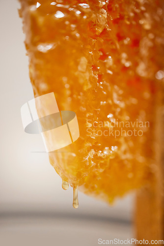 Image of Honeycomb, honey and natural product, zoom and nature texture with syrup drip and production process. Healthy, organic and raw with liquid gold from bee farming, sustainable and beekeeping closeup.