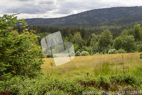 Image of Idyllic Bavarian Forest scenery