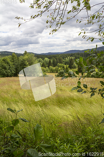 Image of Idyllic Bavarian Forest scenery