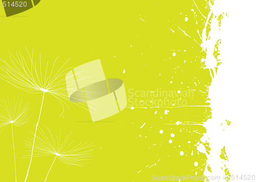 Image of dandelion green