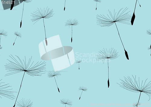 Image of dandelion
