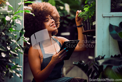 Image of Tablet, plants and black woman, small business owner and greenhouse environment in retail flowers shop, store and eco friendly market. Happy gardening worker, digital planning and sustainable growth