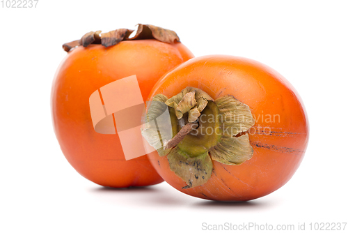 Image of Persimmon fruits on white 