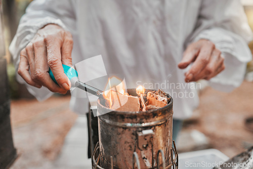 Image of Hands, fire and beekeeping with a woman farmer using a smoker in the production of honey in the countryside. Agriculture, farm and sustainability with a female beekeeper working with a fogging tool