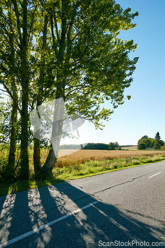 Image of Tree, asphalt road and countryside highway with nature landscape for road trip, travel and adventure in summer. Environment, peace and calm rural route with shadow and blue sky for outdoor background