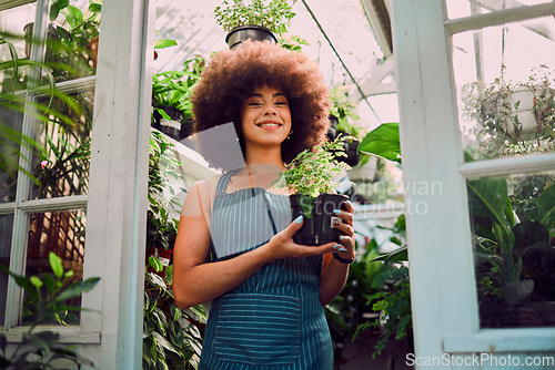 Image of Plant, growth and portrait of black woman in greenhouse for environment, agriculture and florist in small business. Sustainability, spring and garden with girl in nursery for herbs, organic and farm