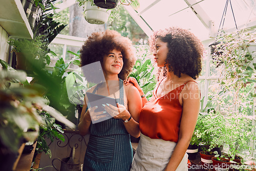 Image of Greenhouse, tablet and plants of black woman with teamwork, collaboration and progress communication for green shop inventory. Agriculture, garden and small business owner people with management tech