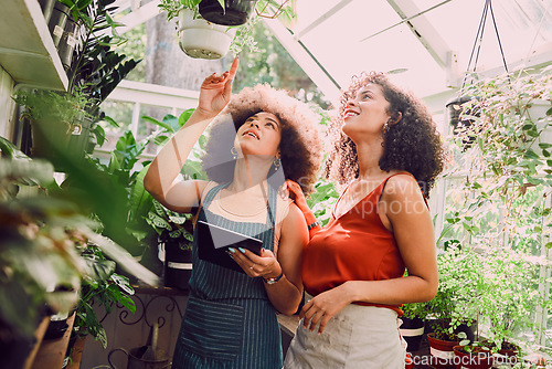 Image of Black women, tablet or pointing in plant greenhouse in organic growth management, ecommerce flower orders or sustainability innovation. Smile, happy or talking florists, garden center workers or tech