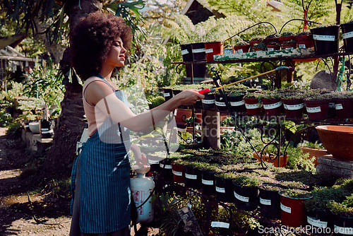 Image of Black woman, garden and spray pesticide for plants, vegetation and against bugs outdoor. Ecofriendly, African American girl and female gardener use liquid to remove harmful species and protect growth