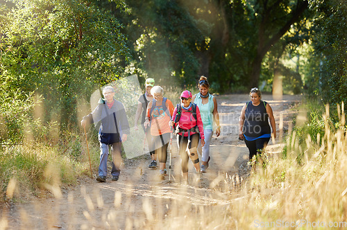 Image of Nature, walking and senior group hiking in forest for exercise, health and wellness with cardio outdoor workout. Fitness, healthy and elderly friends or retirement club trekking on path in the woods